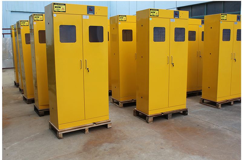 氣瓶柜,實(shí)驗(yàn)室氣瓶柜(全鋼報(bào)警可選)